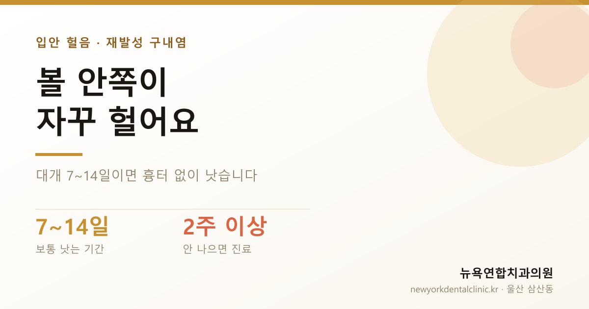 볼 안쪽이 자꾸 헐어요 — 재발성 구내염은 대개 7~14일이면 흉터 없이 낫습니다. 2주 이상 안 나으면 진료 — 뉴욕연합치과의원